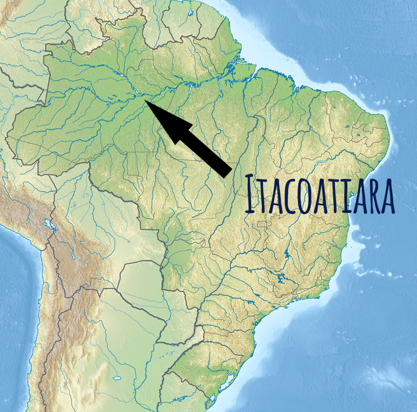 brazil
