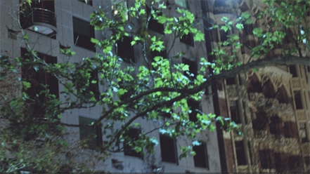 dvtest_aviddv601 dvtest_aviddv601