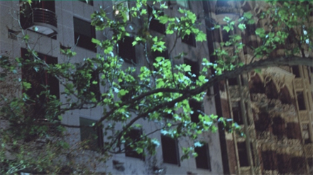 footage_in_avid footage_in_avid