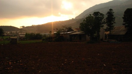 Chicken Village in Vietnam Chicken Village in Vietnam
