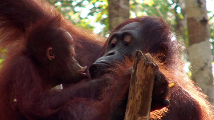 LateNite Films Reel 2010 LateNite Films Reel 2010